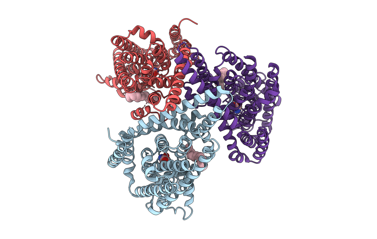 2NWL image