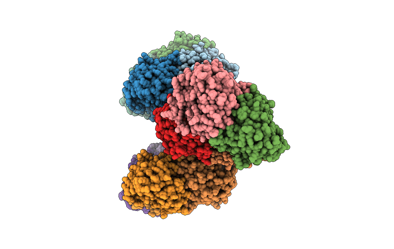 2NX3 image