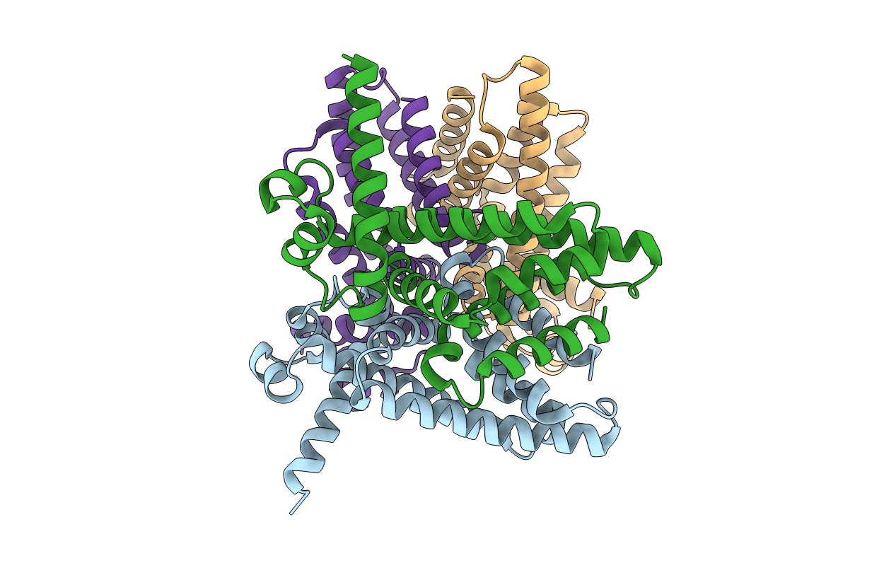 2NX4 image
