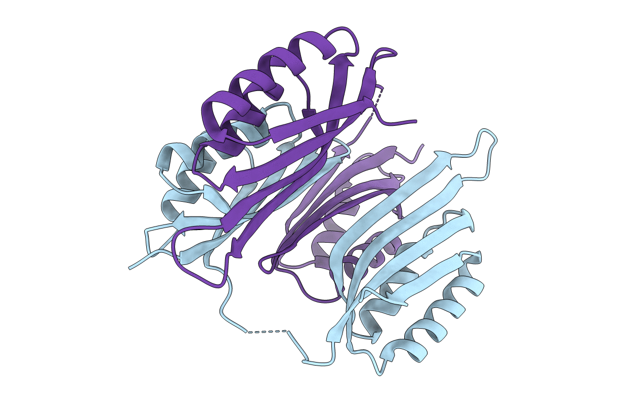 2NYI image