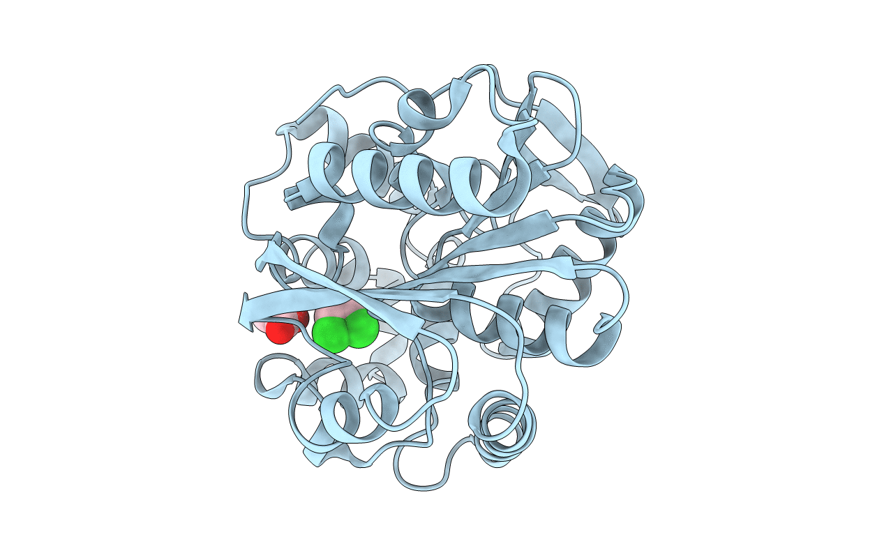 2O2H image