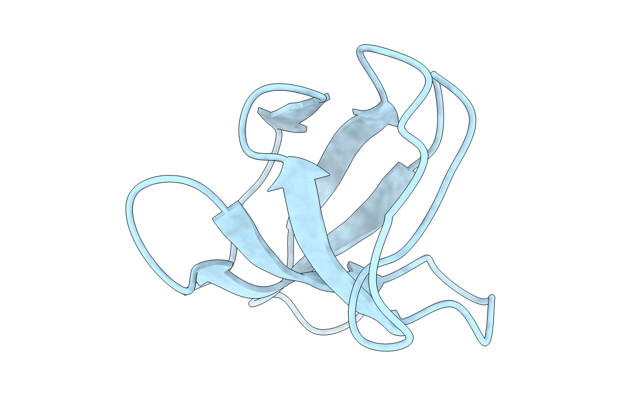 2O2W image