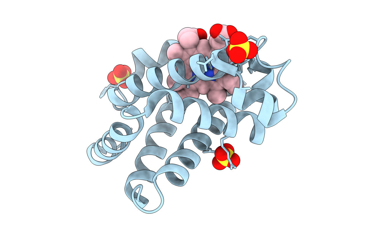 2O5B image