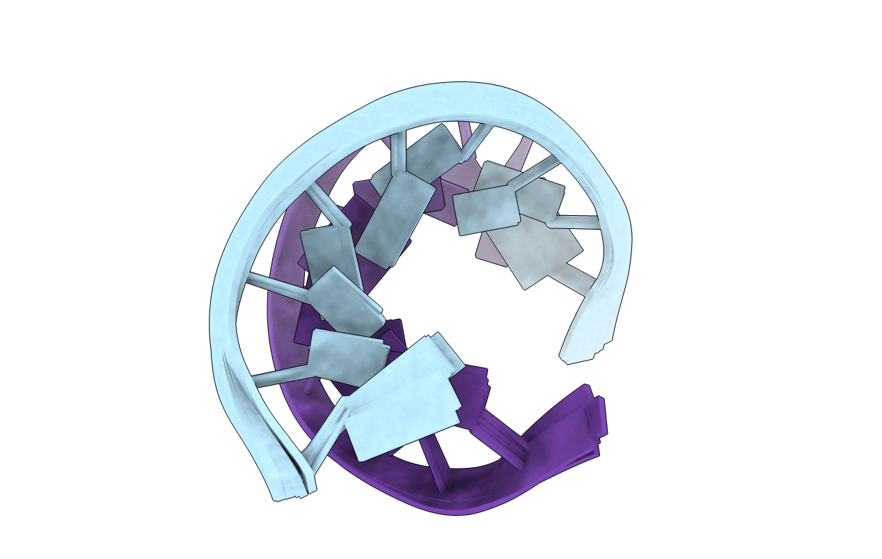 2O83 image