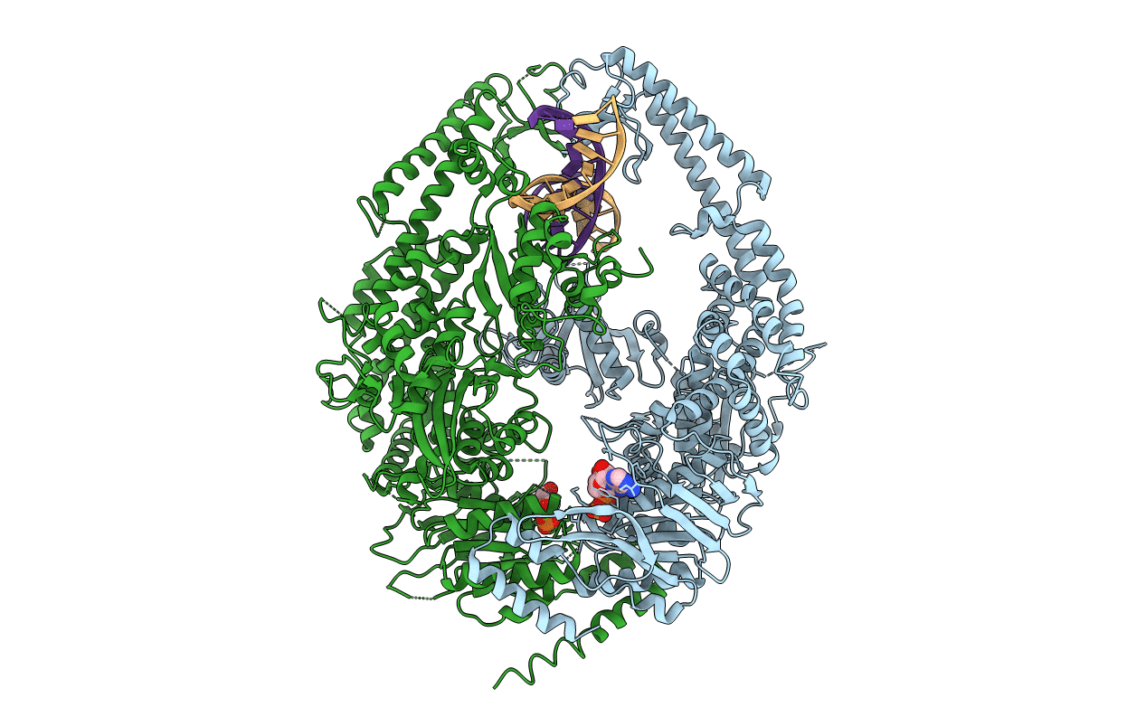 2O8B image