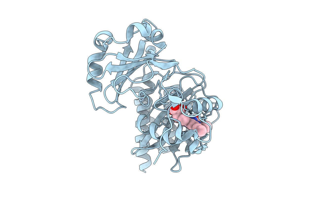 2O9C image