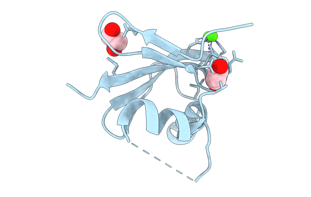 2OAI image