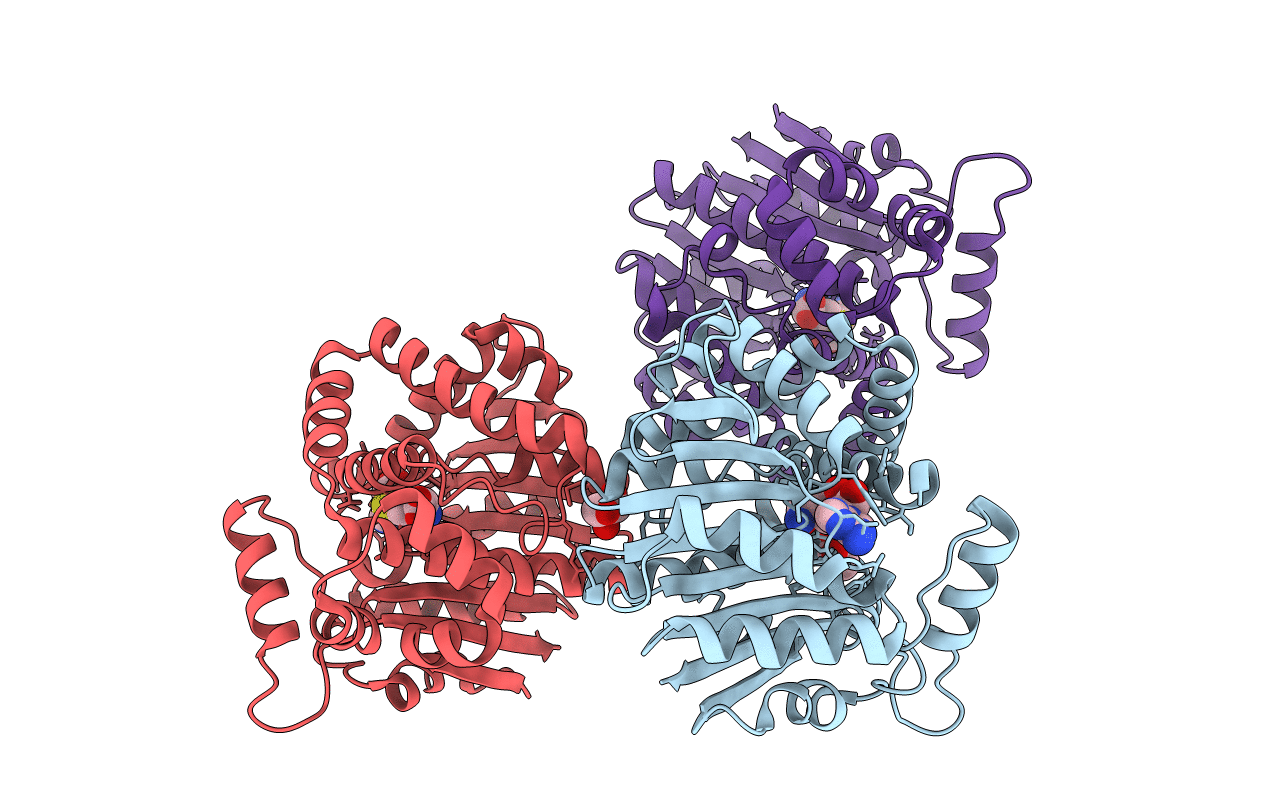 2OB2 image