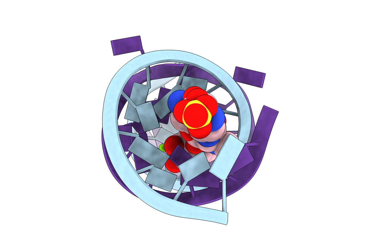 2OE5 image