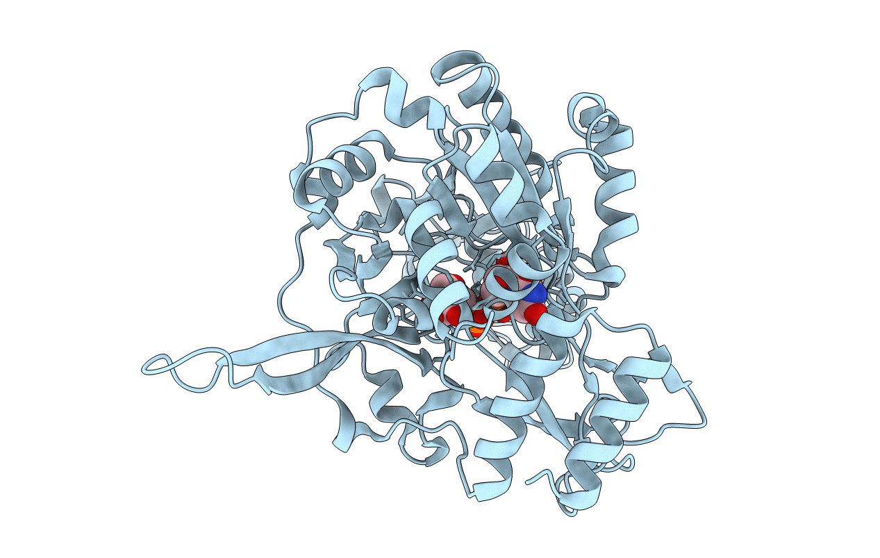 2OEG image