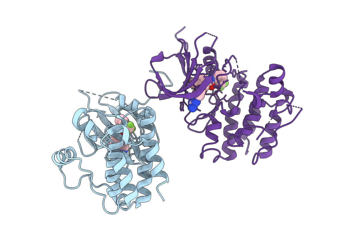 2OFV image