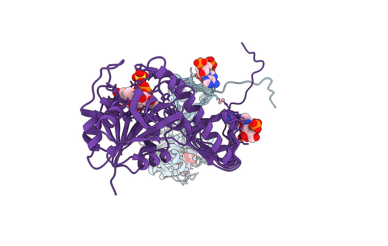 2OI7 image