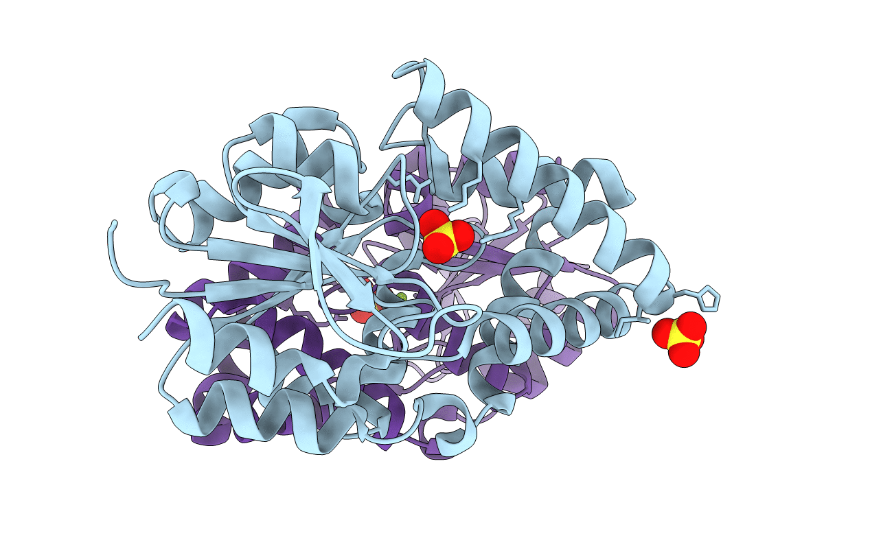 2OM6 image