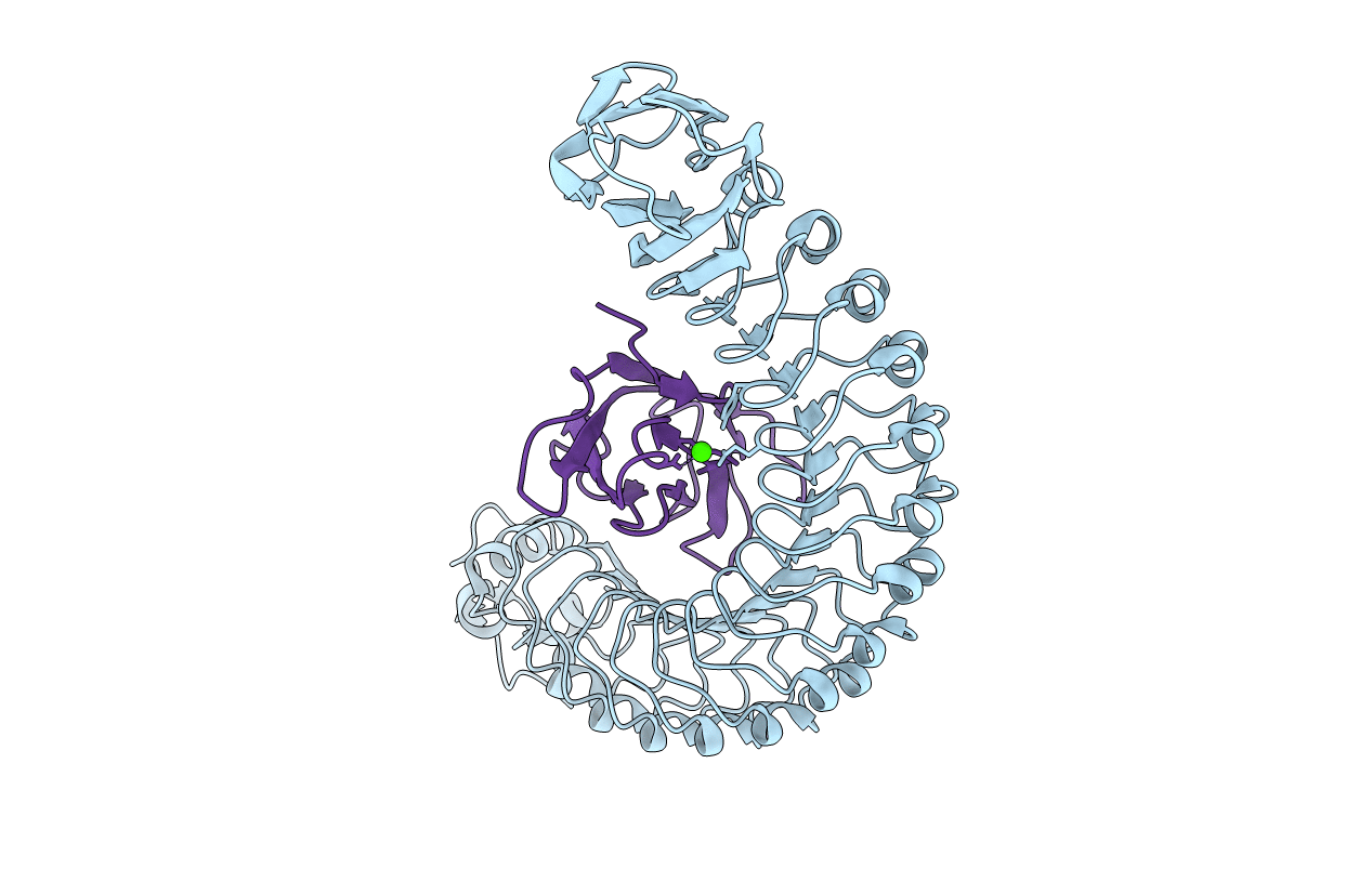2OMX image