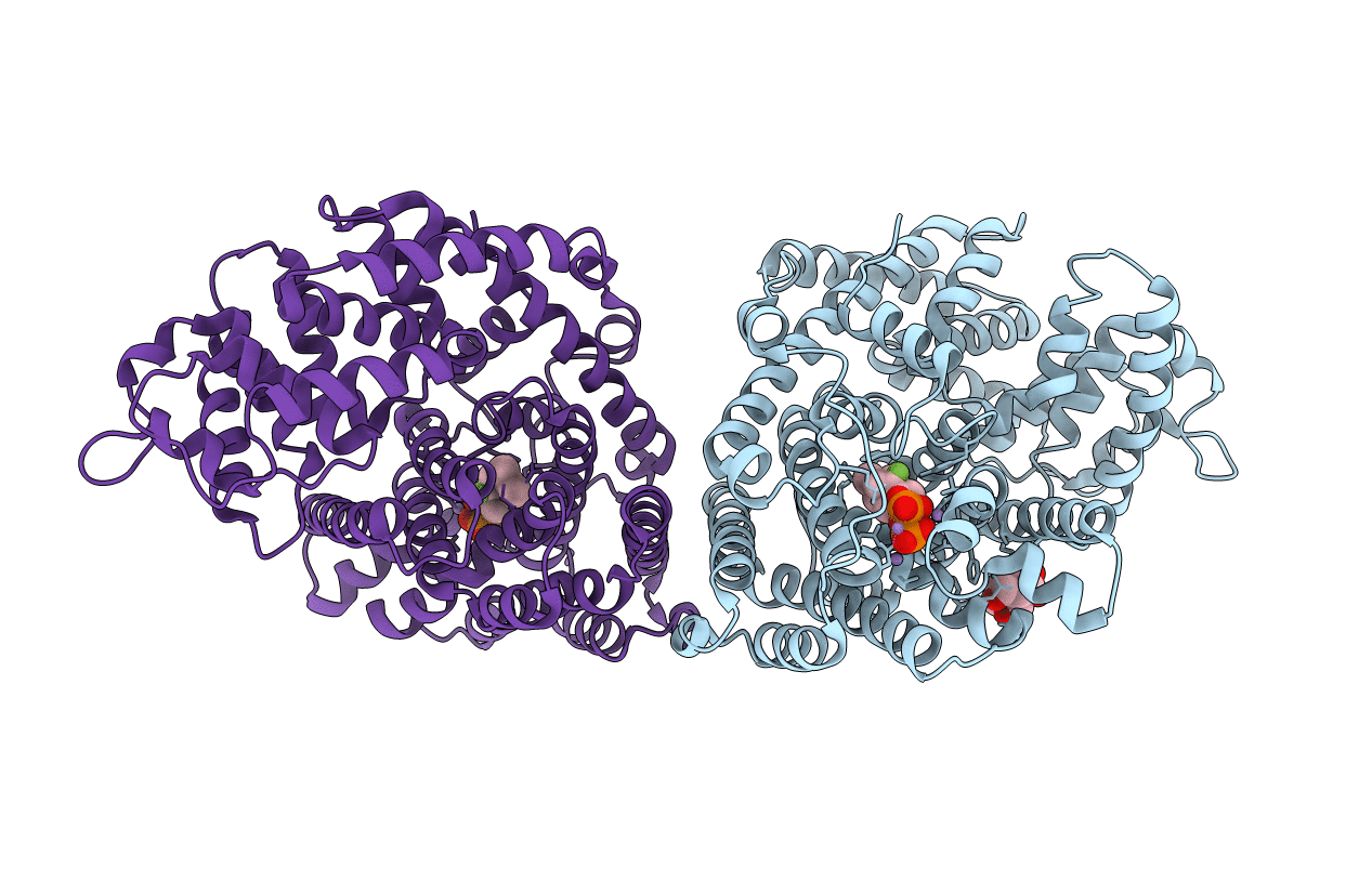 2ONH image