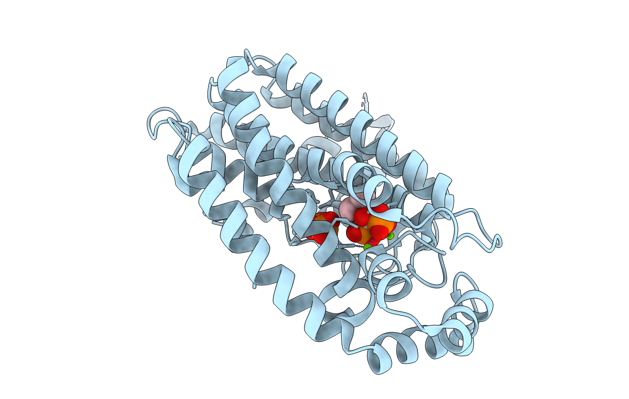 2OPN image