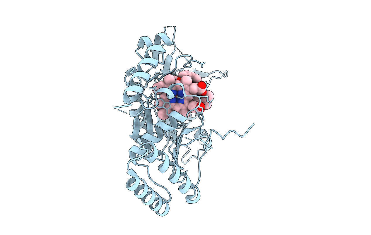 2ORP image