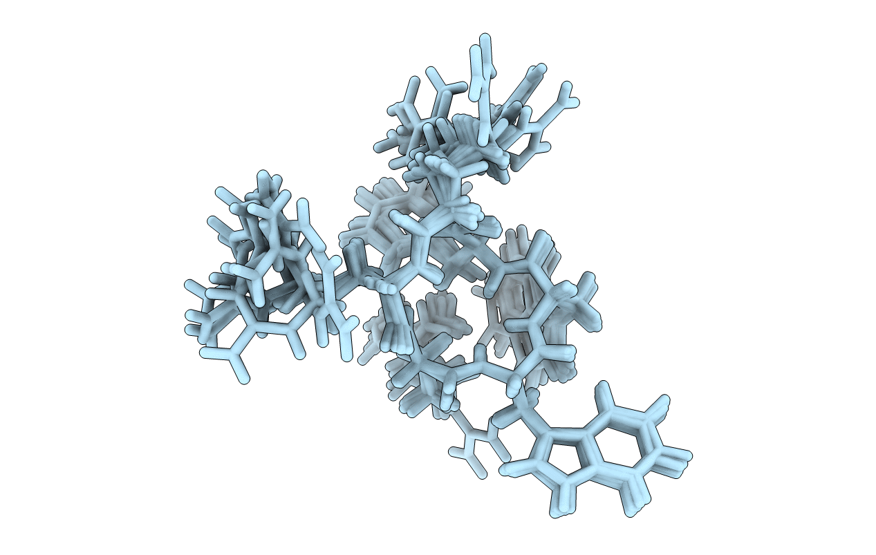 2OX2 image