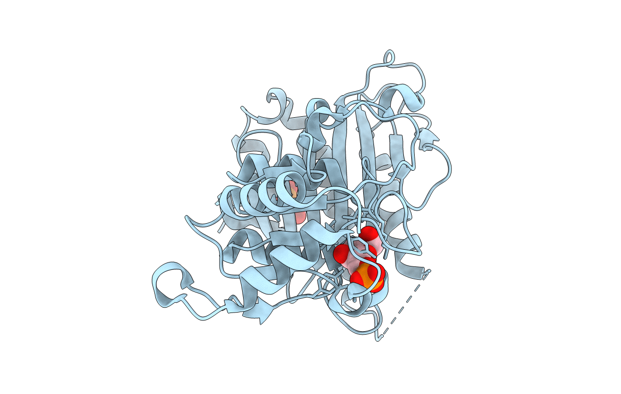 2OX3 image