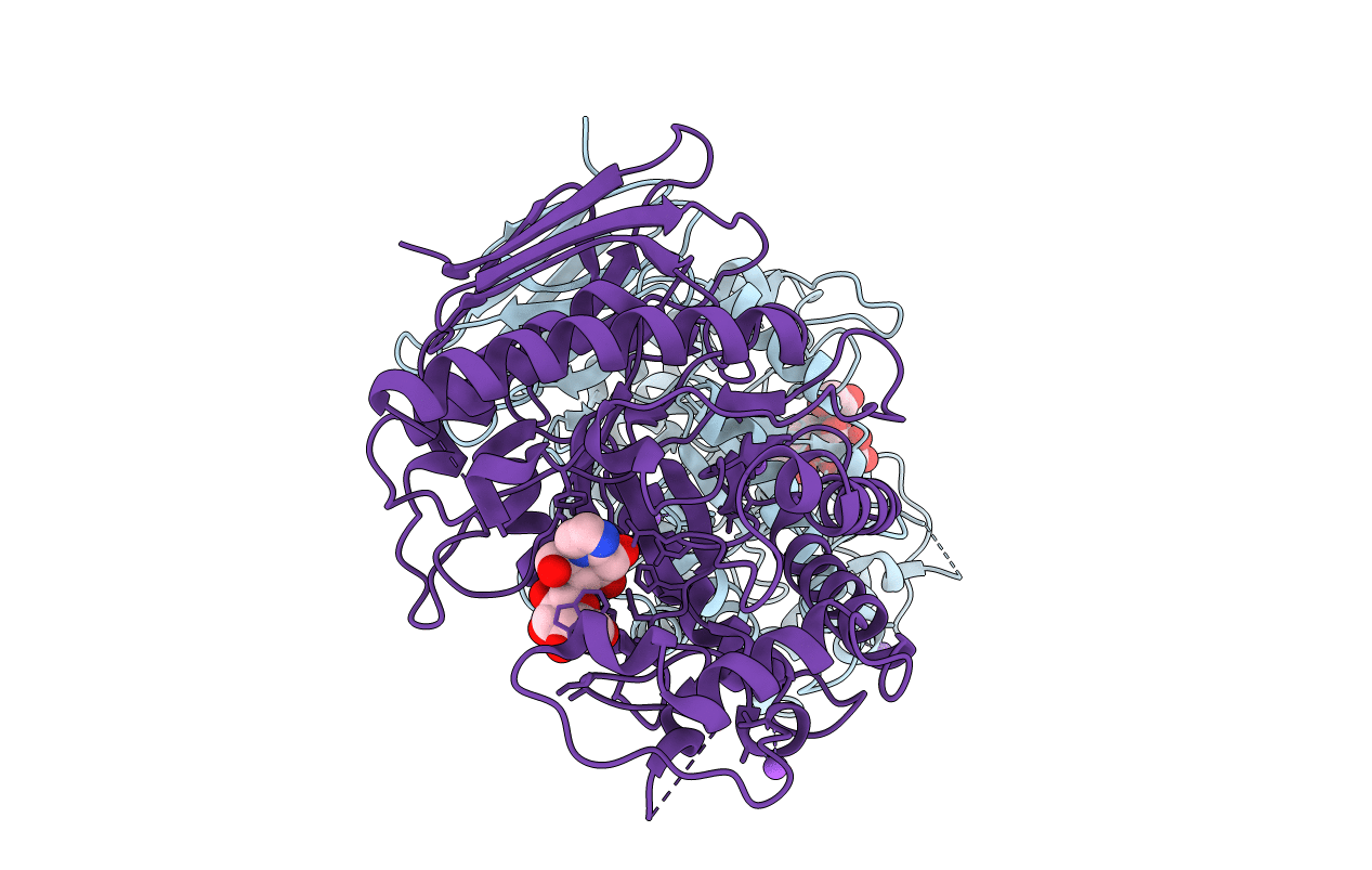 2OYL image