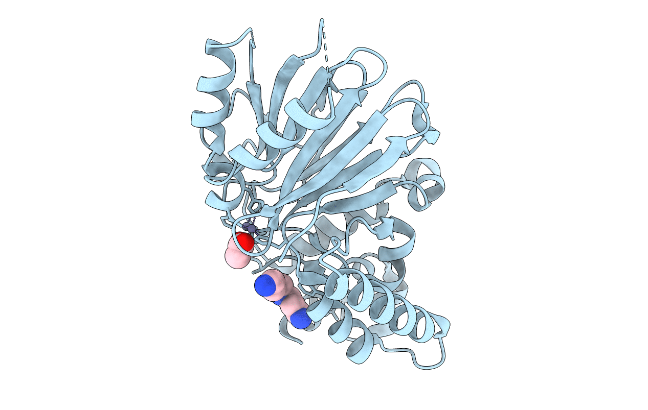 2P18 image
