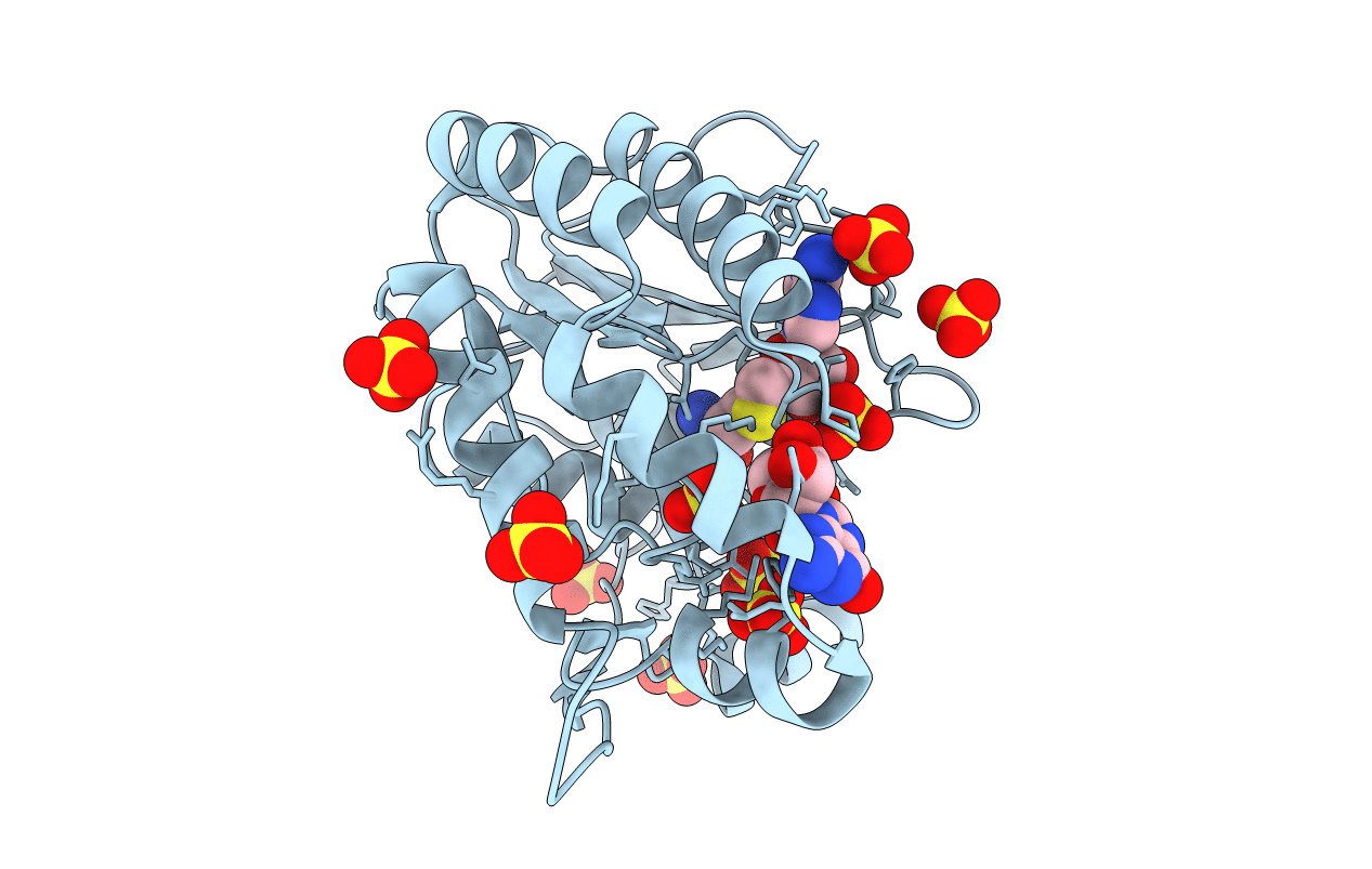 2P1D image