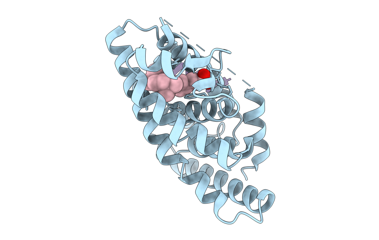 2P1V image
