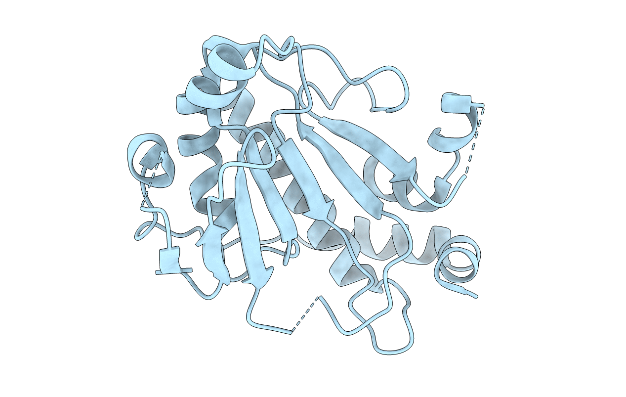 2P1W image