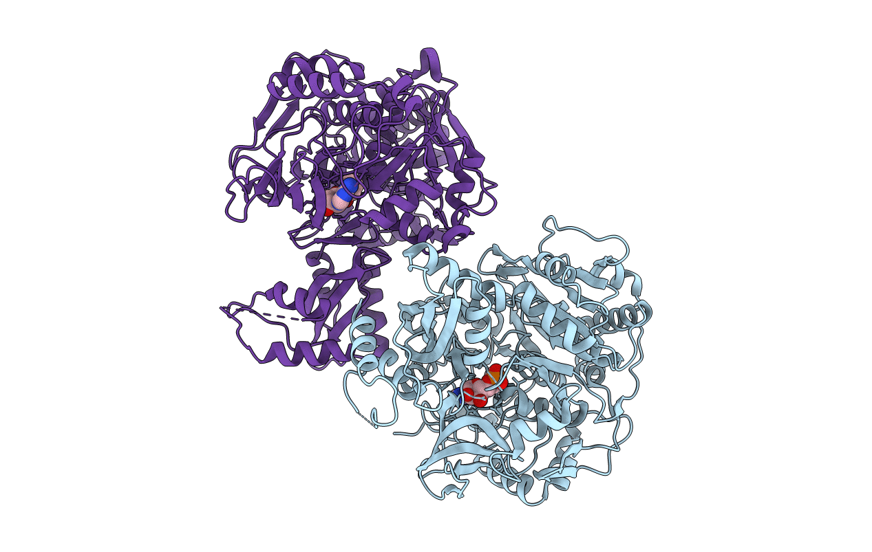 2P20 image