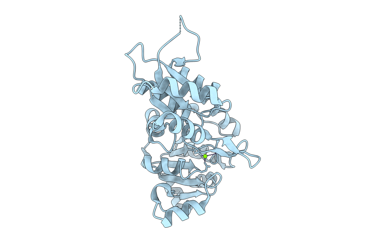 2P27 image
