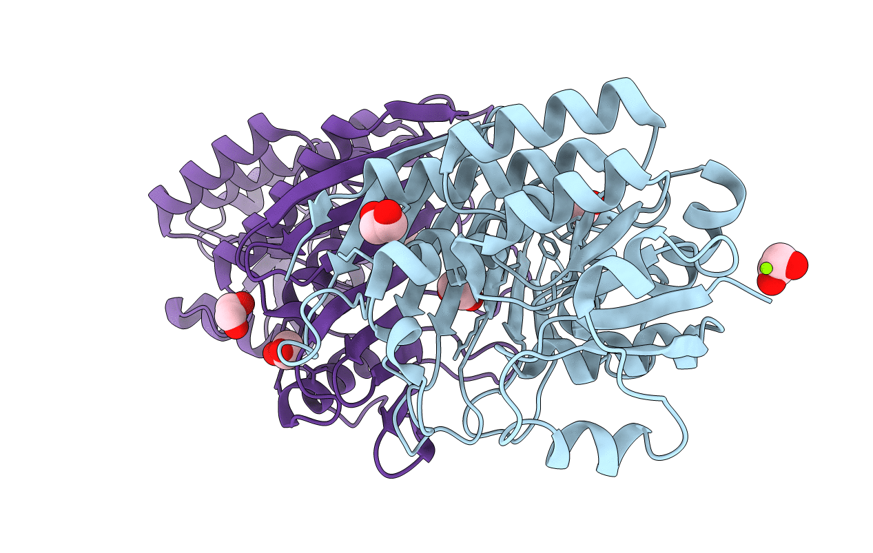 2P2S image