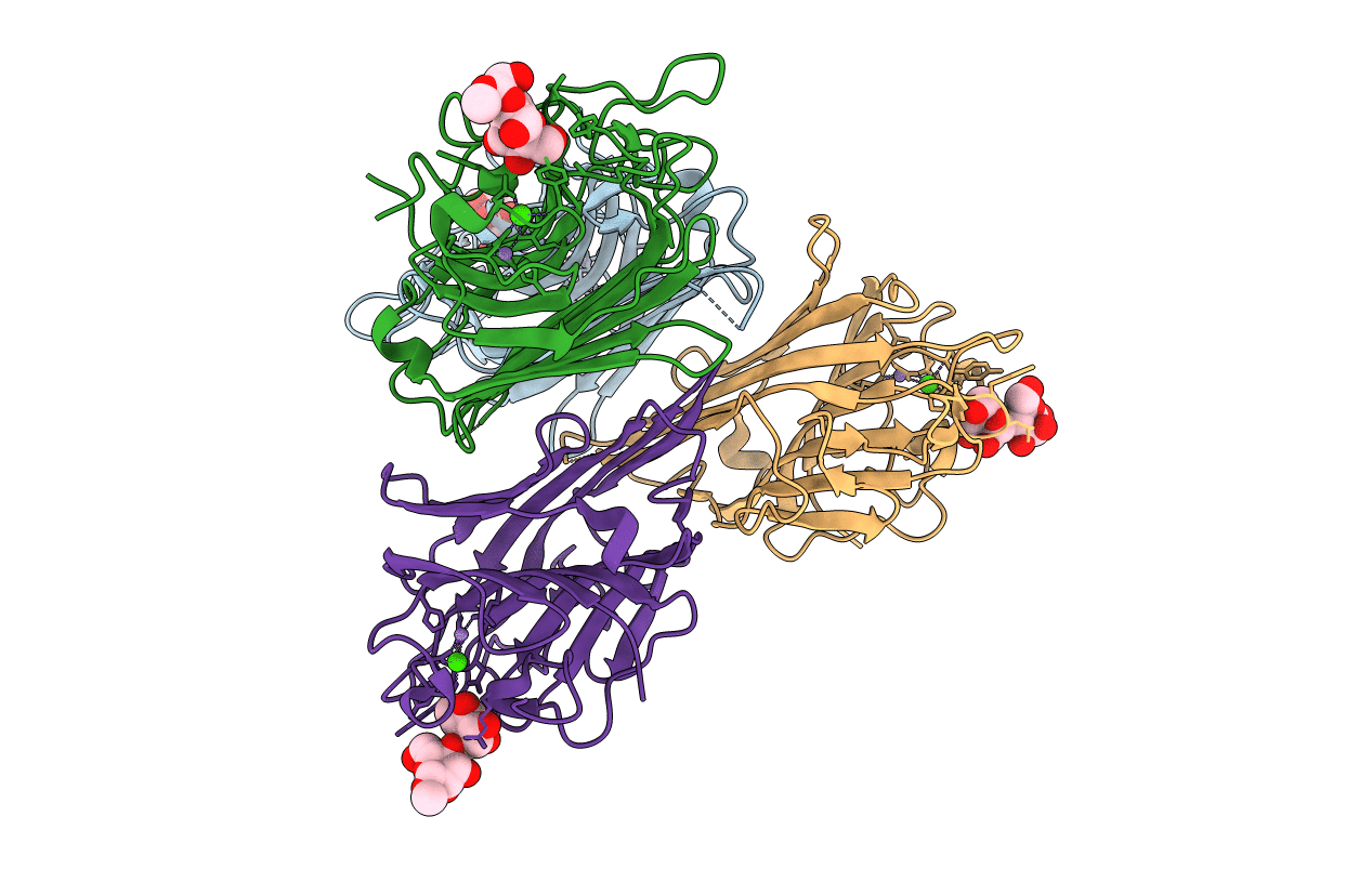 2P34 image