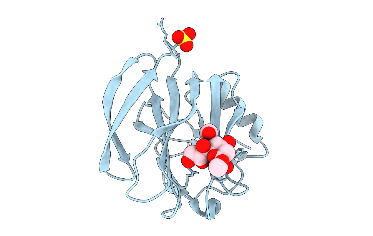 2P3I image