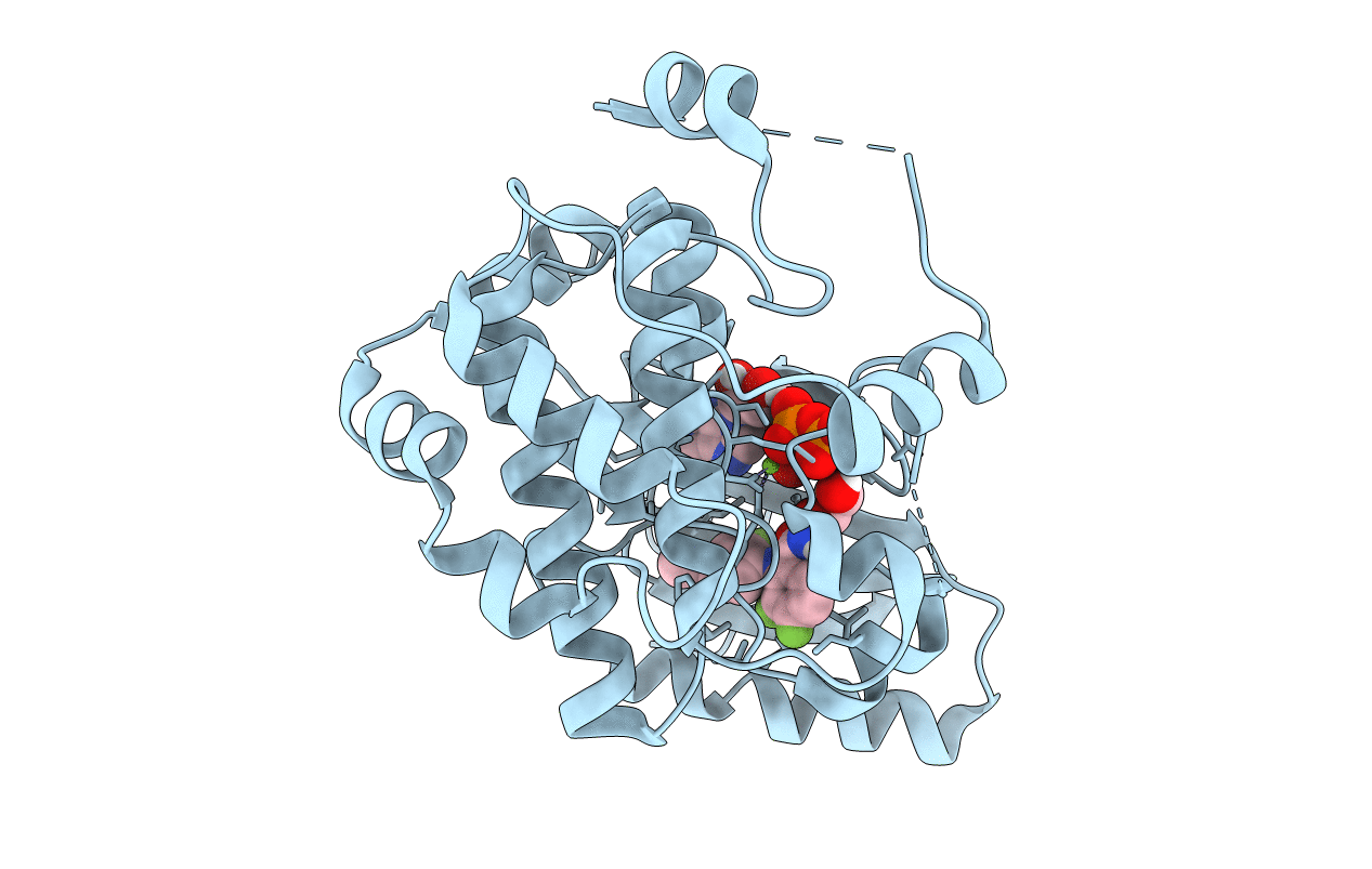 2P55 image