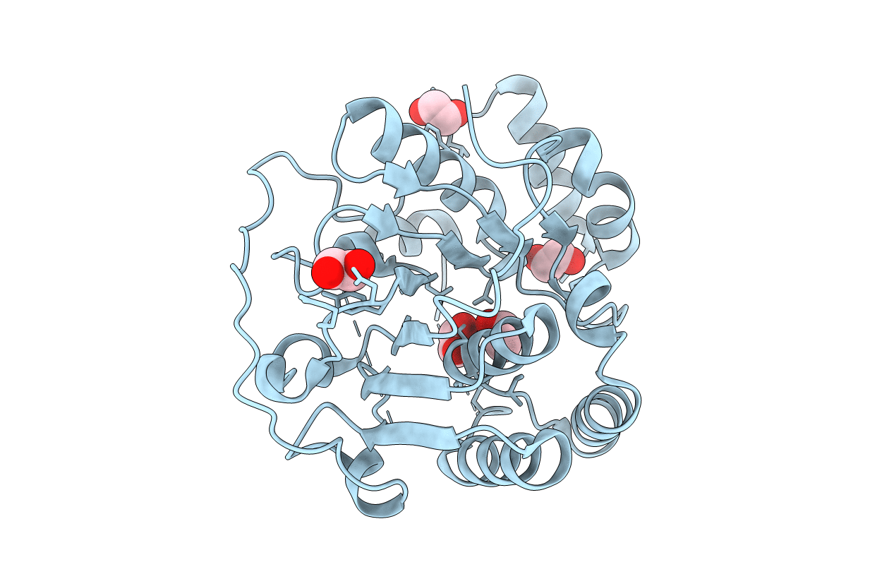 2P56 image