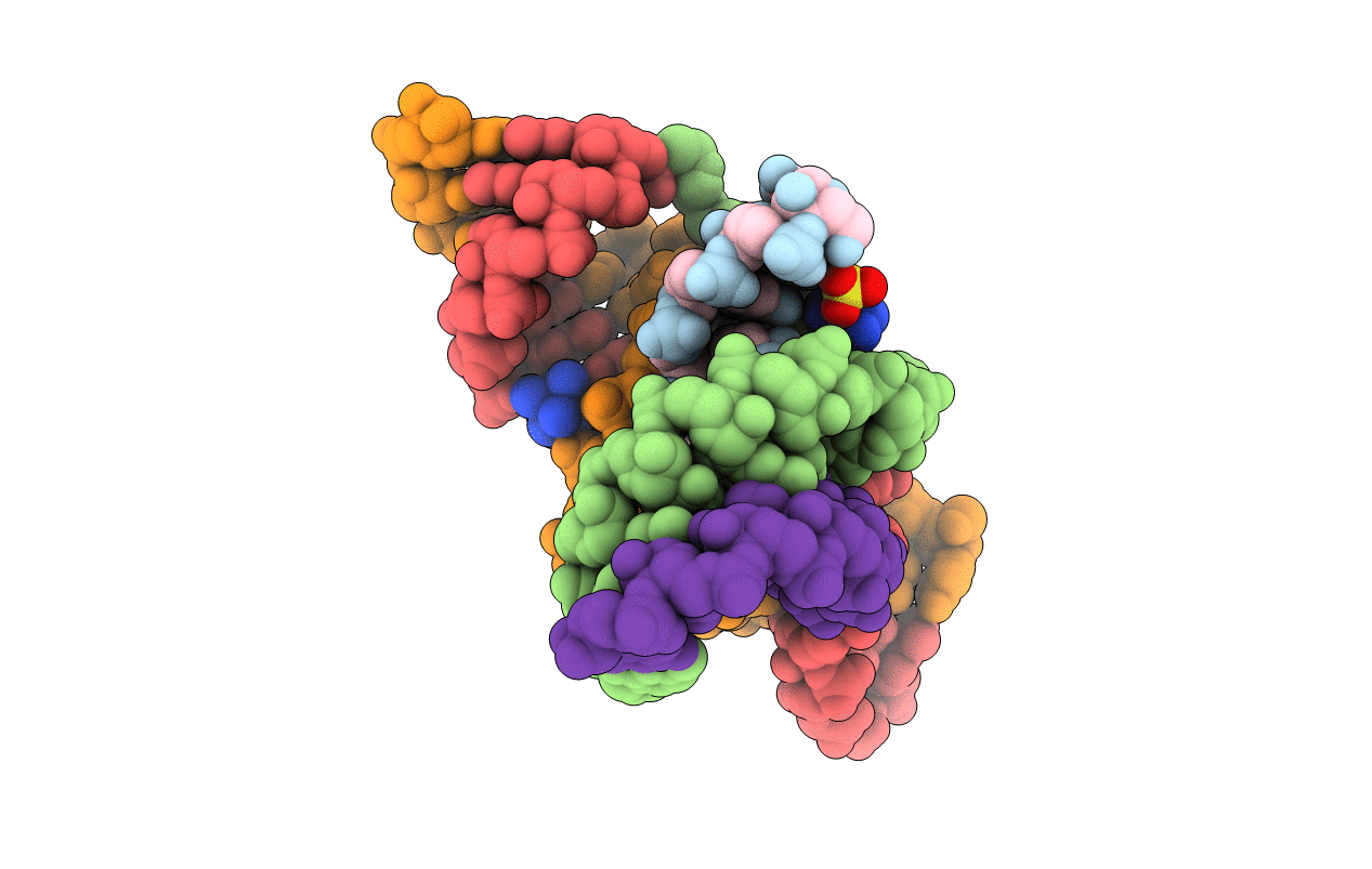 2P7E image