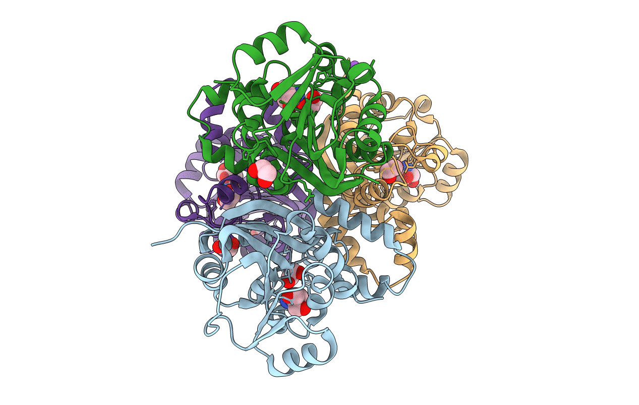 2P7H image