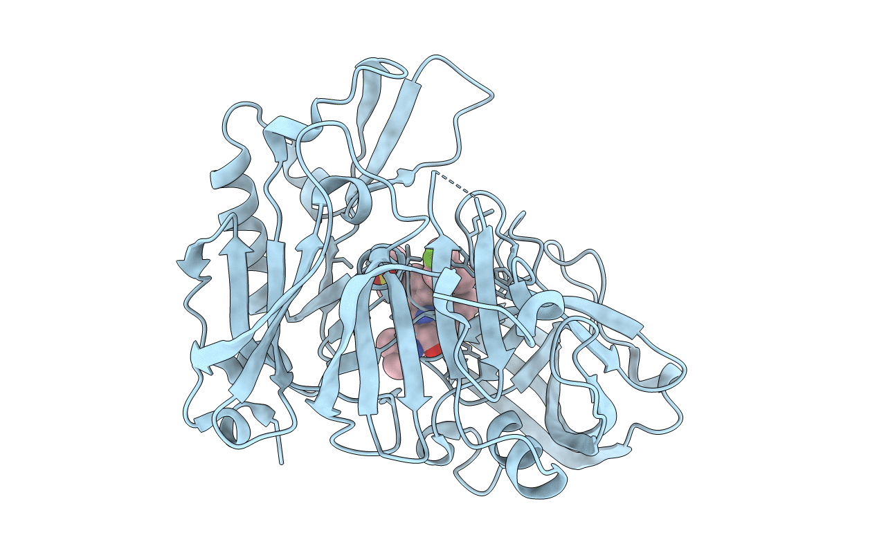 2P8H image