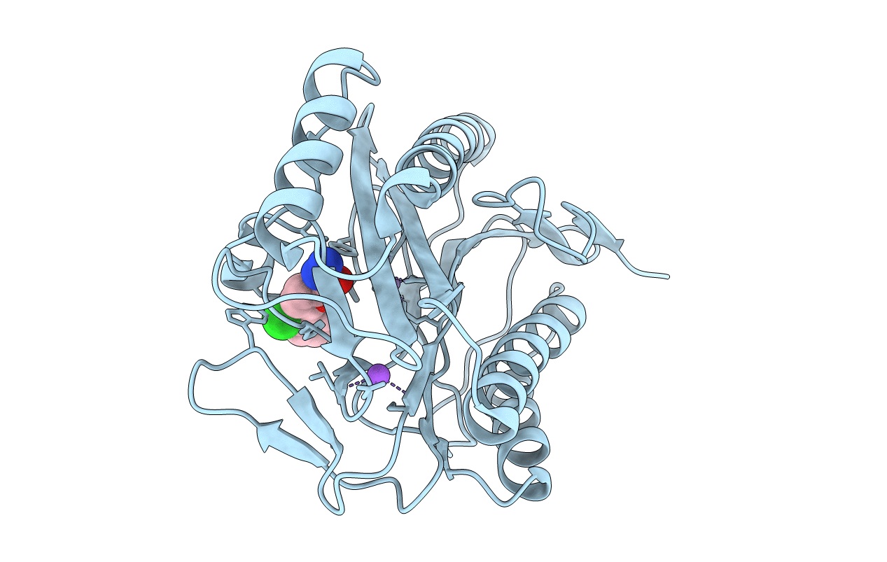 2P9A image