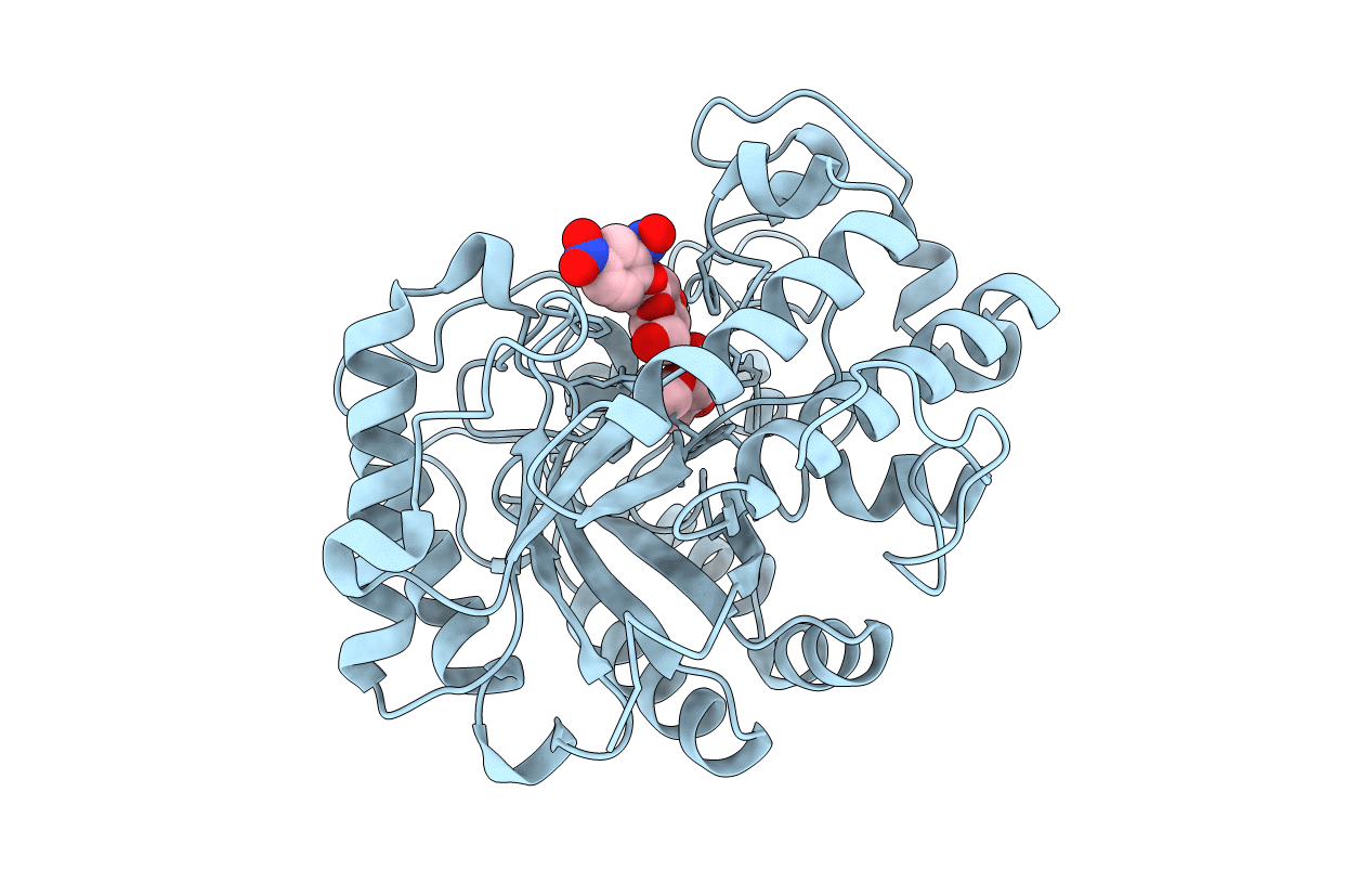 2PB1 image
