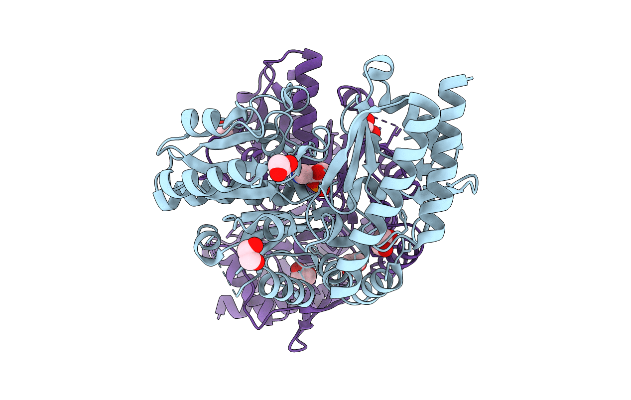 2PB2 image