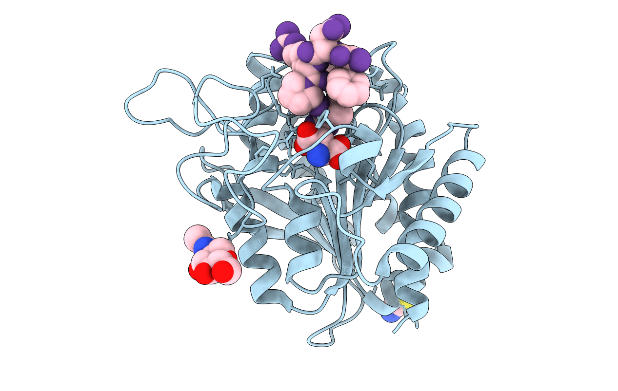 2PCU image