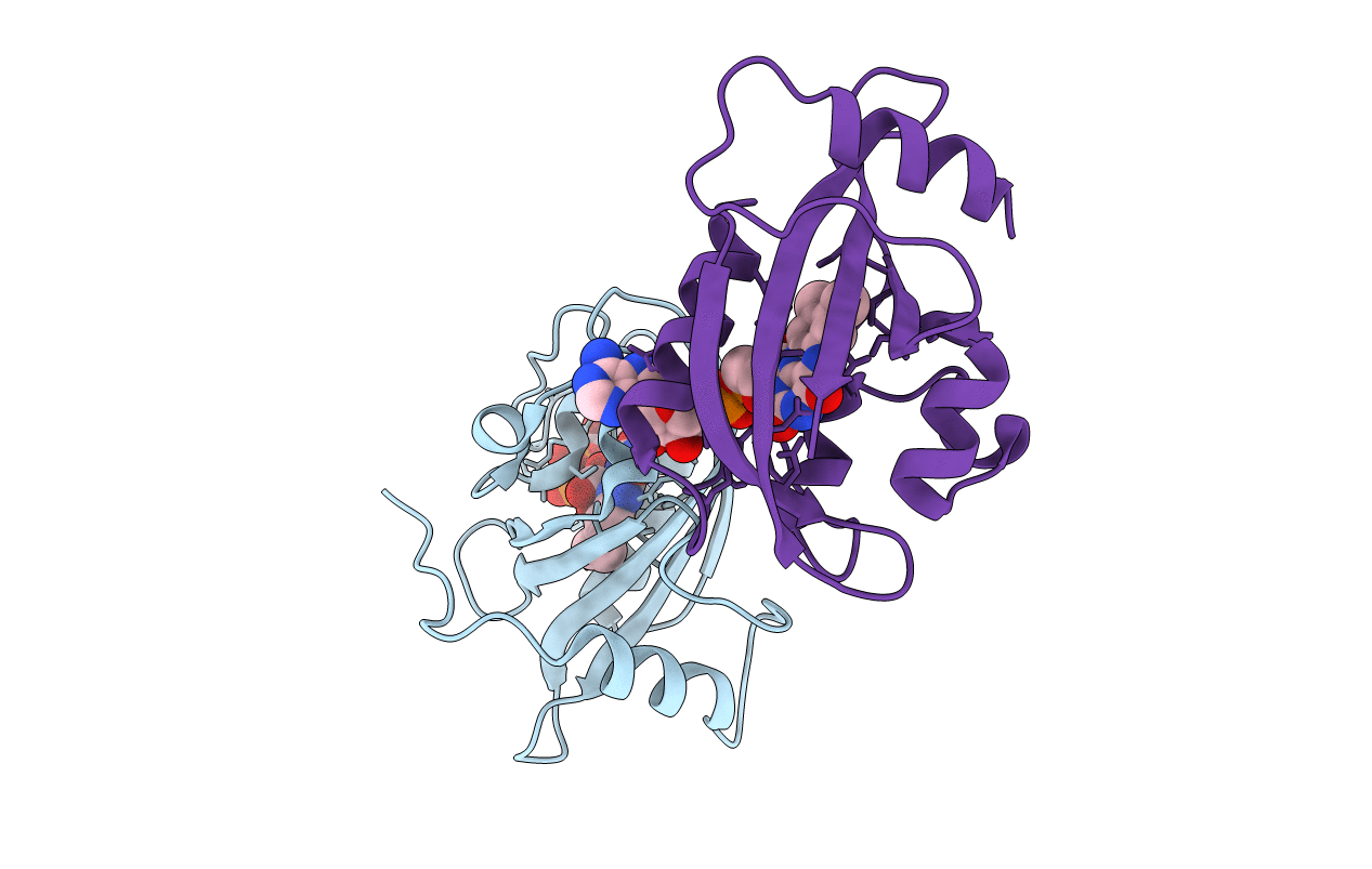 2PD8 image