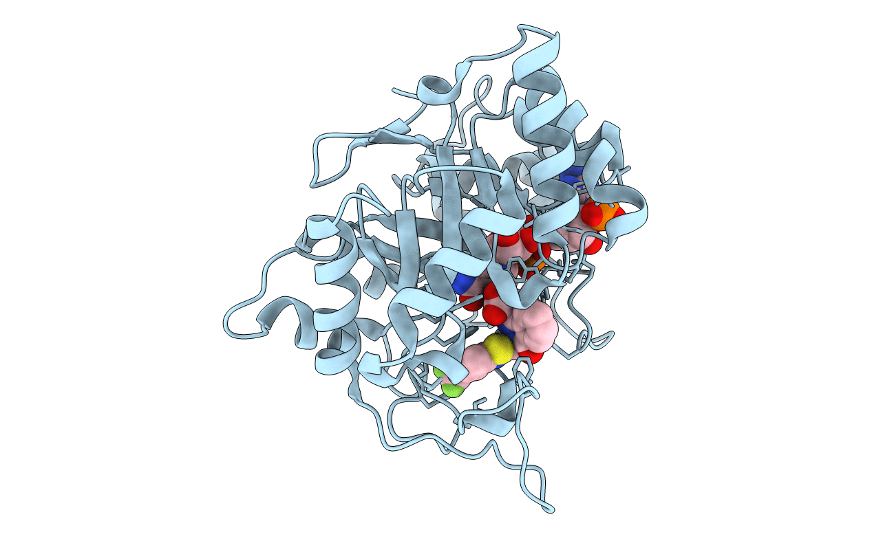 2PDB image
