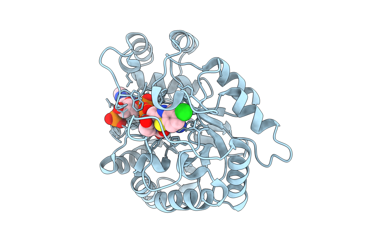 2PDH image