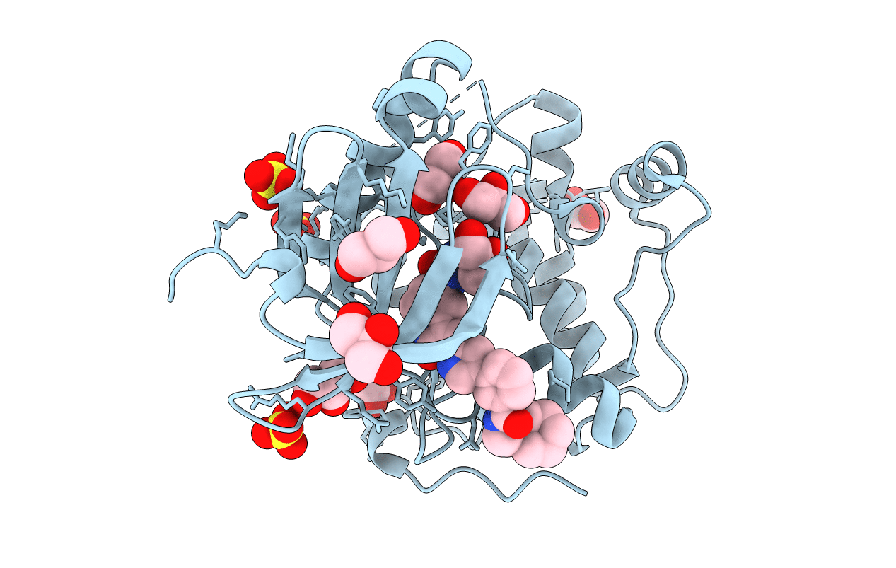 2PE2 image