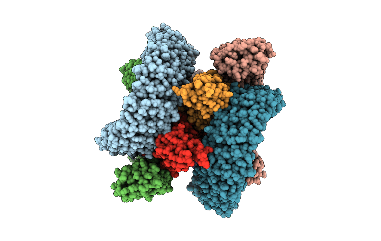 2PF4 image