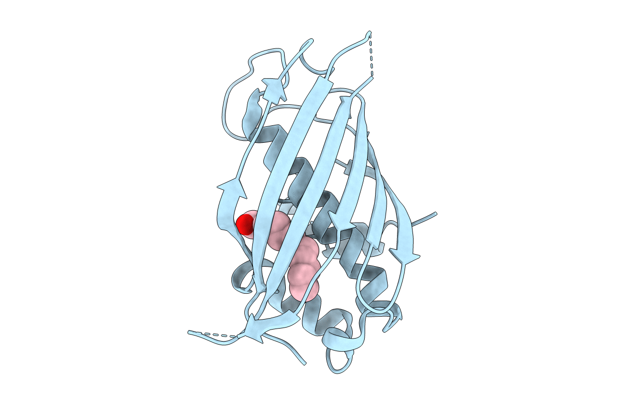 2PFC image