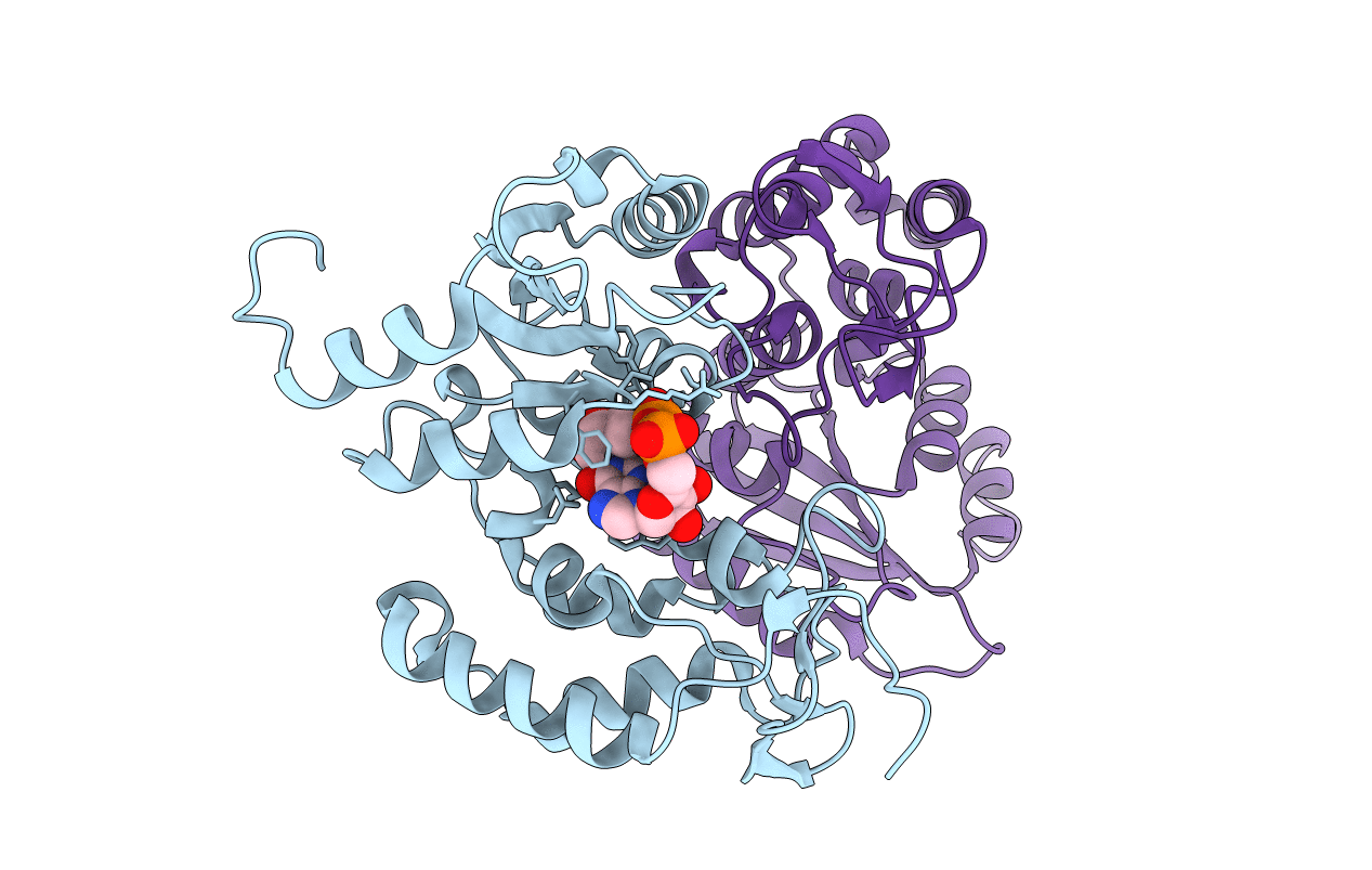 2PGJ image