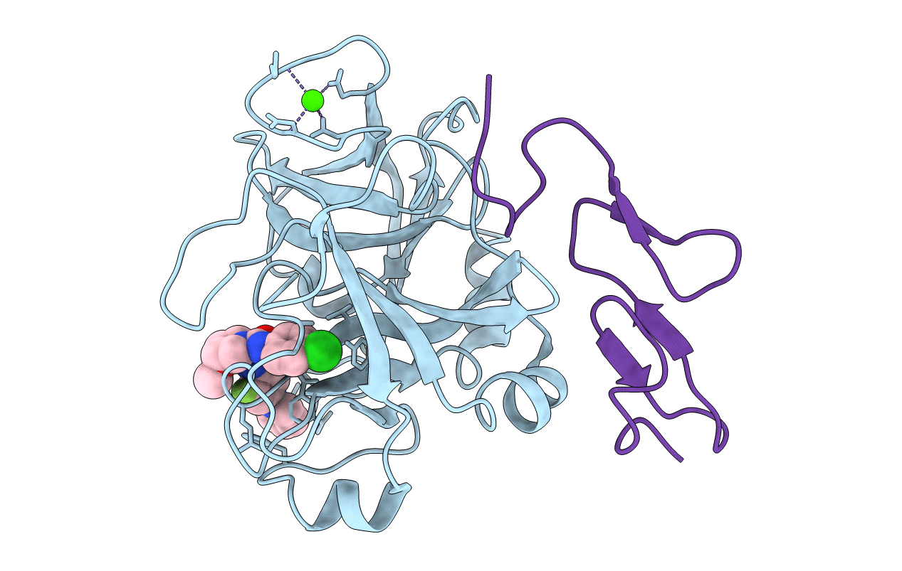 2PHB image